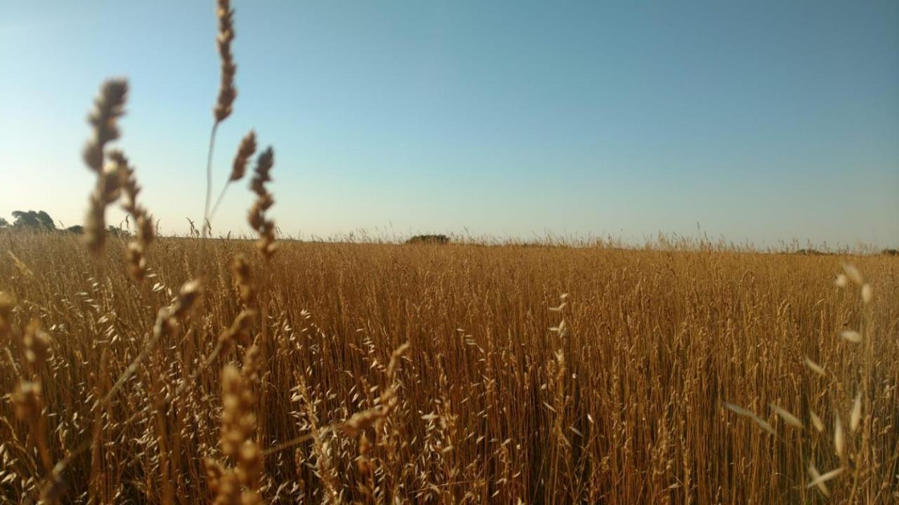הוילה ויז'ה ונטנה Vittorio, En Llohue מראה חיצוני תמונה